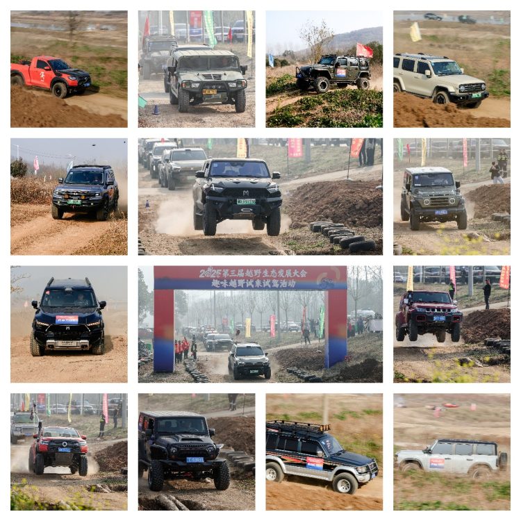 1766417403-a9586e905bcfd5c